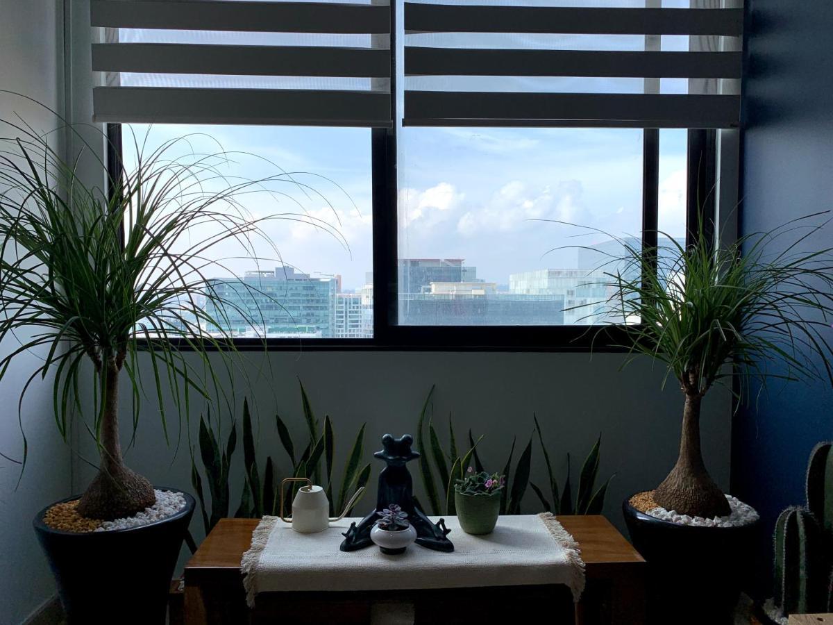 Blue Horse Apartment In New Polanco. Ciudad de México Exteriér fotografie