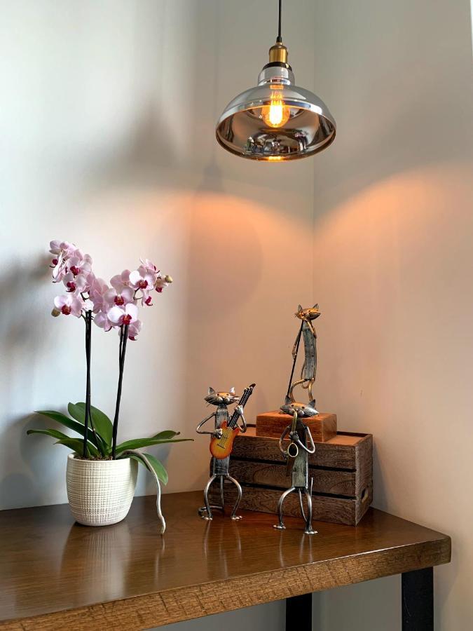 Blue Horse Apartment In New Polanco. Ciudad de México Exteriér fotografie